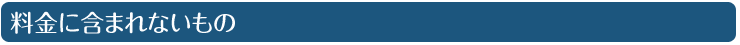 料金に含まれないもの