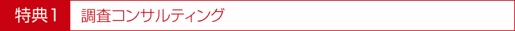 調査コンサルティング