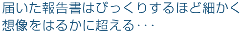 届いた報告書はびっくりするほど細かく想像をはるかに超える･･･